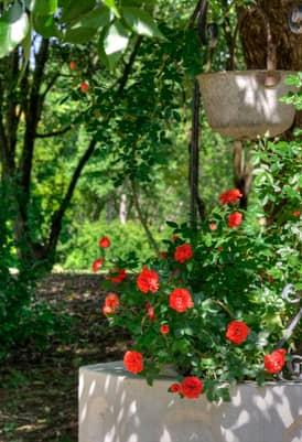 Parco Parkjuniorhotel Quartodaltino 01 V