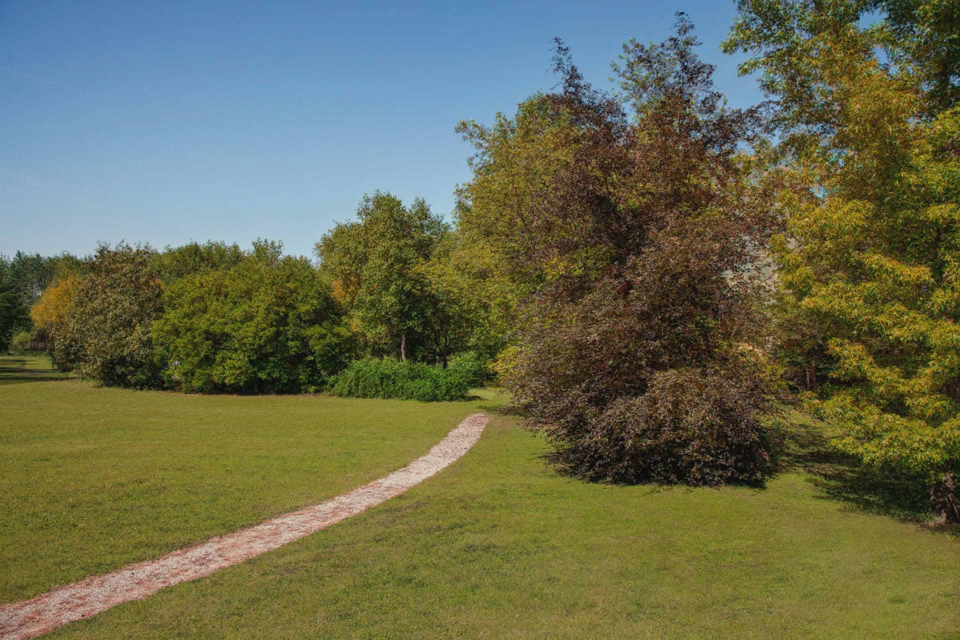 Immagine - 892cb6ea-e61b-4207-bd85-52ee60013201